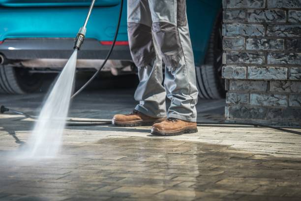 Best Graffiti Removal  in Rosenberg, TX