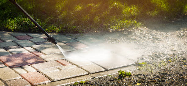 Best Sign and Awning Cleaning  in Rosenberg, TX