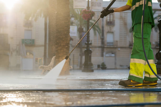 Best Sidewalk and Walkway Cleaning  in Rosenberg, TX